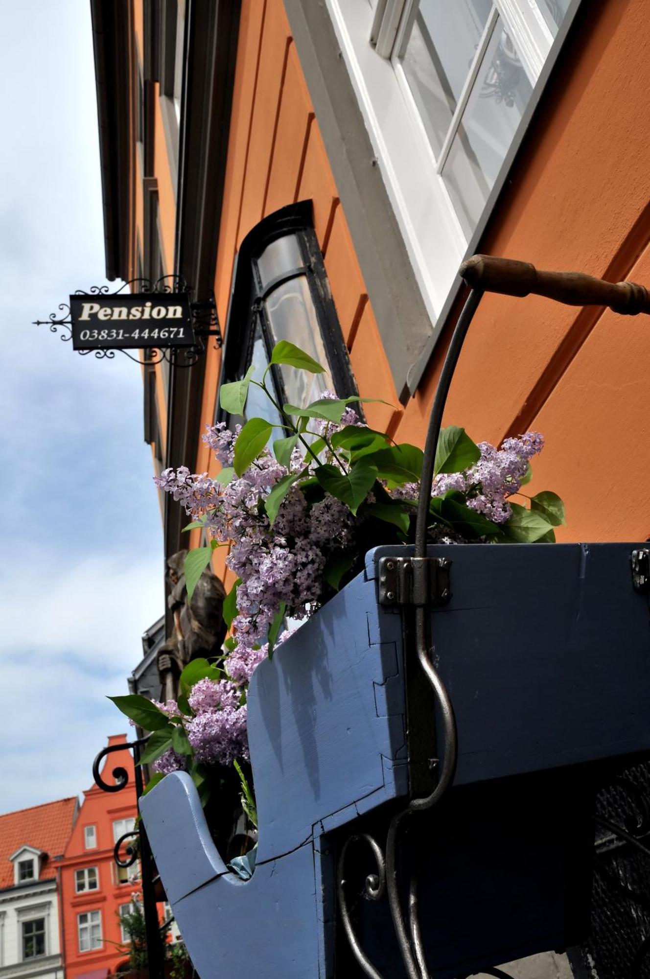 Pension Altstadt Moench In Top Lage Preis Inclusive 5 Prozent Bettensteuer Und Fruehstueck Stralsund Exterior photo